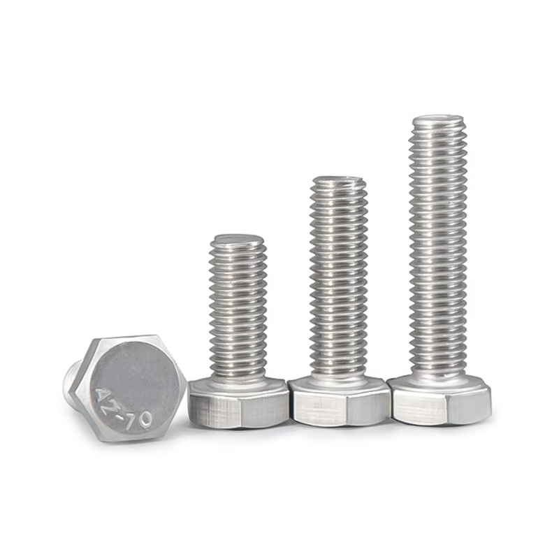 Stainless Steel Hexagon Screws